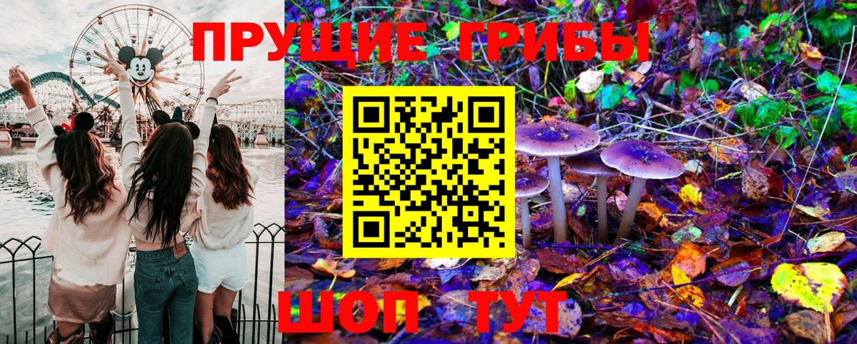 Галлюциногенные грибы Psilocybe  Вход с VPN  закладка  Заволжье 